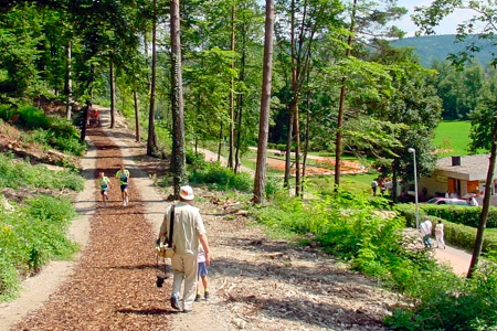 Dollau Finnenbahn